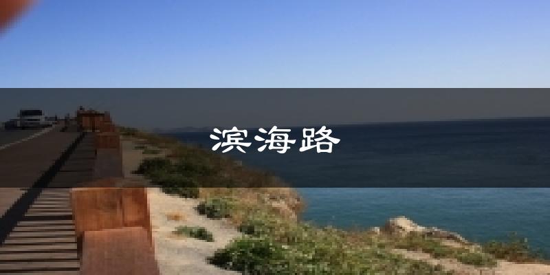 滨海路天气预报十五天