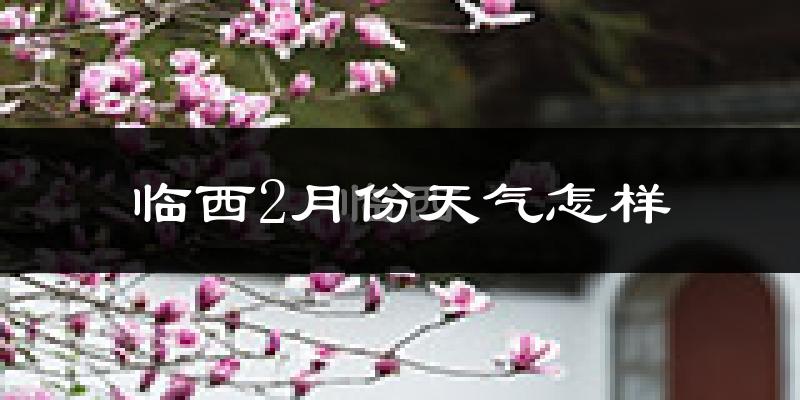 临西县2月份天气如何?冷吗?