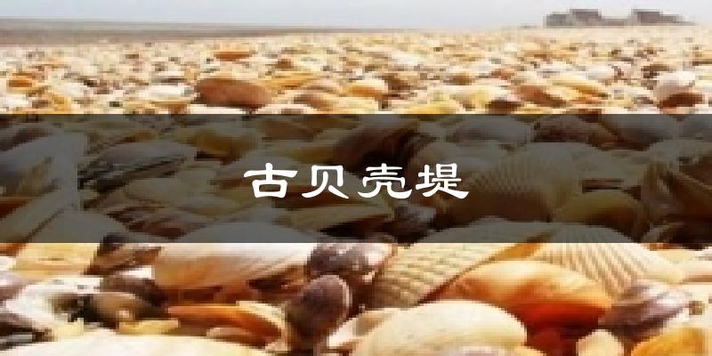 古贝壳堤天气预报十五天
