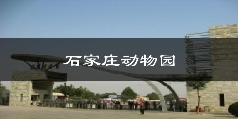 石家庄动物园今日天气